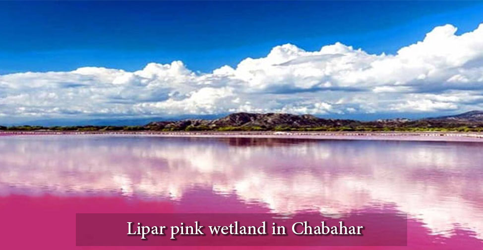 Chabahr Lipar pink wetland