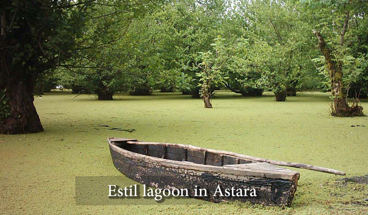 Estil lagoon in Astara
