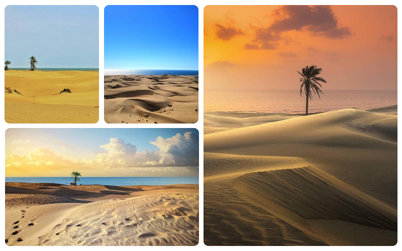 Le spiagge sabbiose del mare dell'Oman